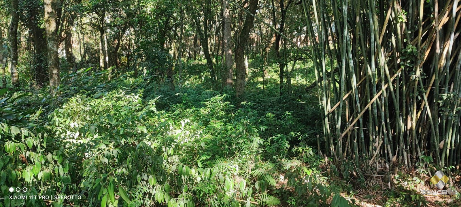 Loteamento e Condomínio à venda e aluguel, 11946m² - Foto 13