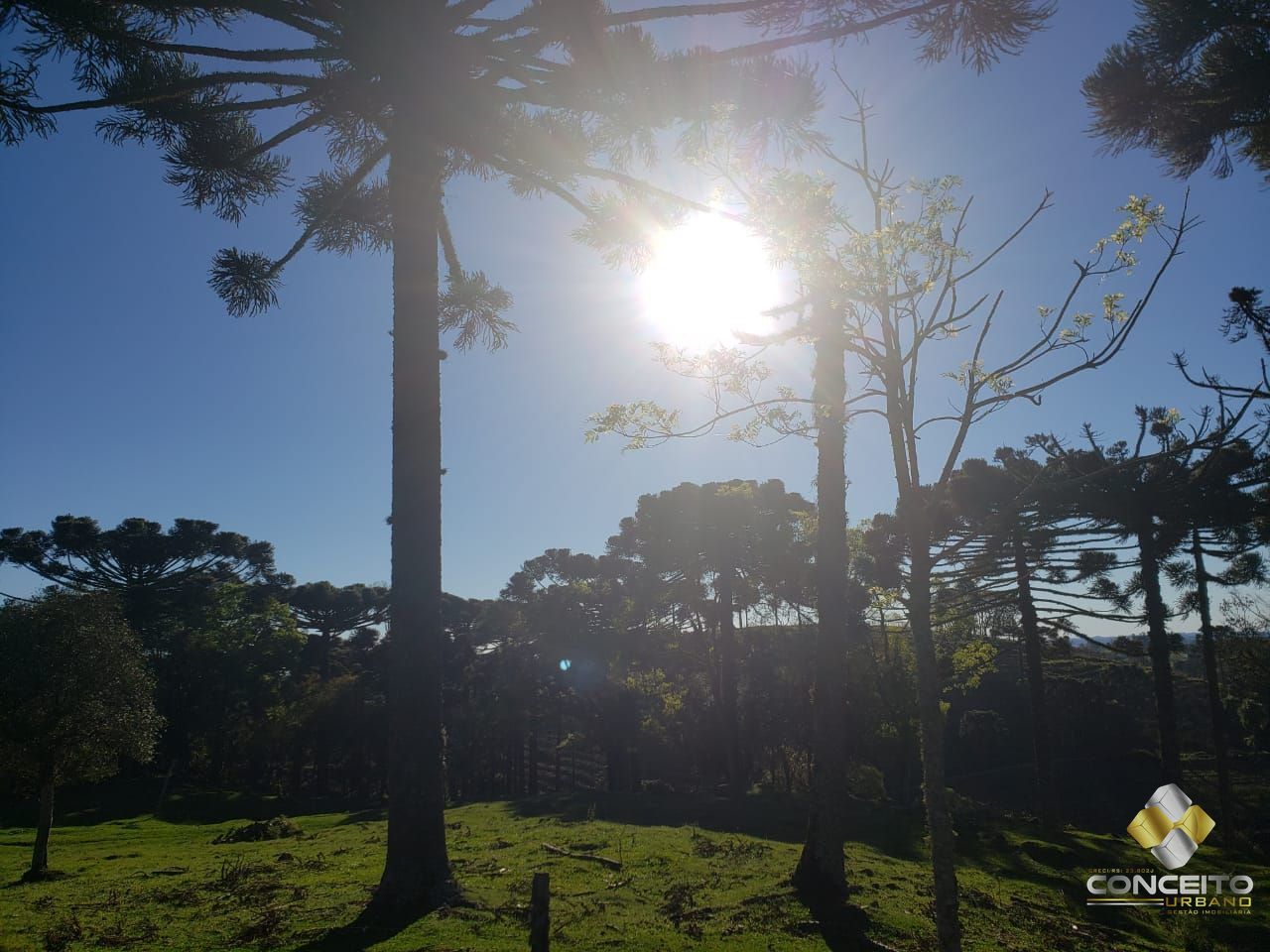 Terreno comercial à venda  no Zona Rural - Pinto Bandeira, RS. Imóveis