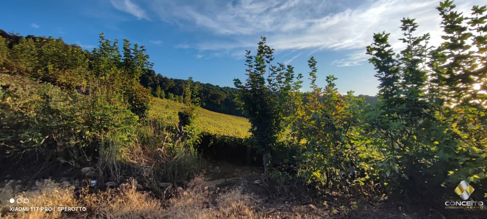 Loteamento e Condomínio à venda, 60000m² - Foto 20