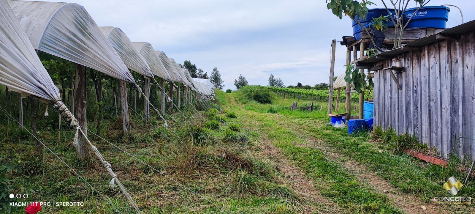 Terreno à venda, 107000m² - Foto 26