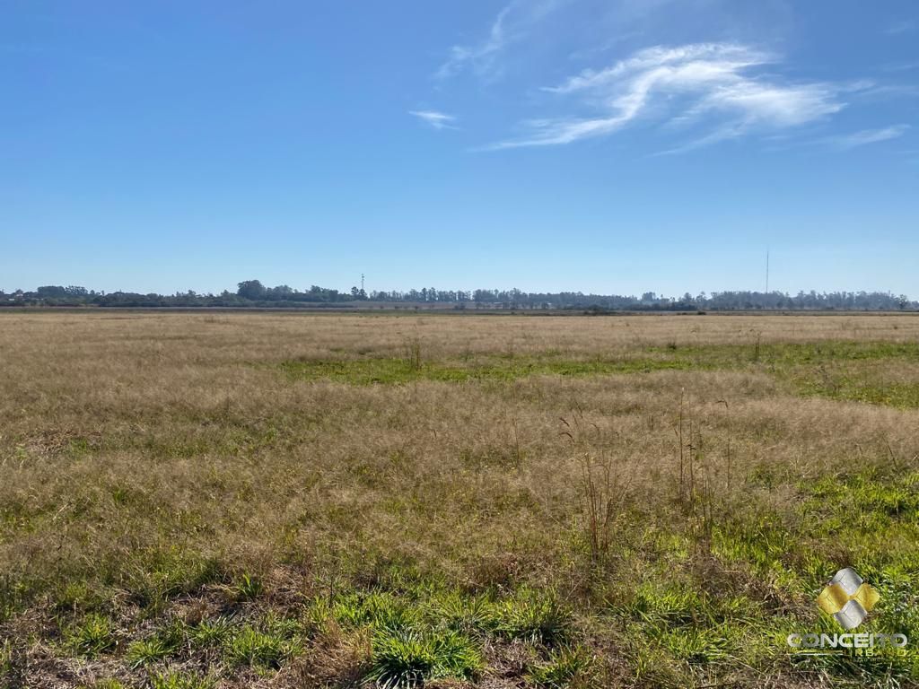 Terreno à venda, 6300000m² - Foto 17