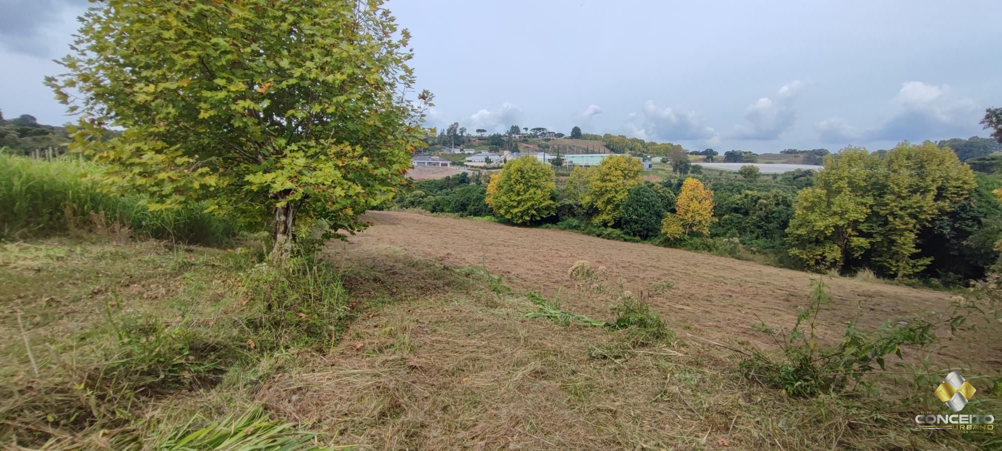 img155140567