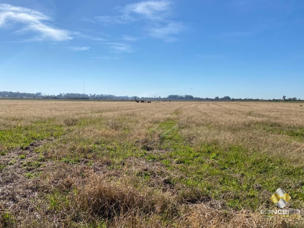 Terreno à venda, 6300000m² - Foto 12