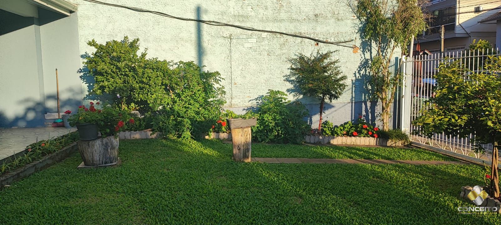 img67048714