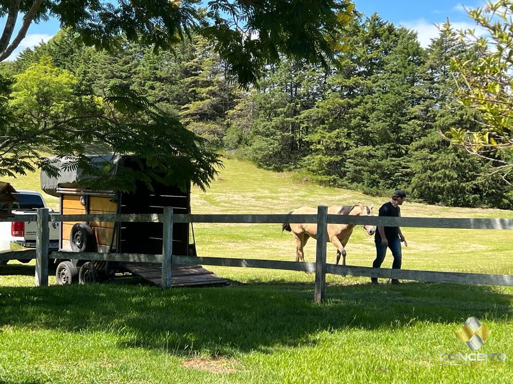 Fazenda à venda com 1 quarto, 100m² - Foto 39