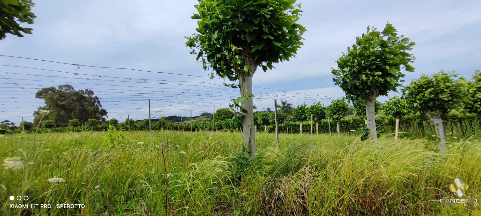 Terreno à venda, 107000m² - Foto 7