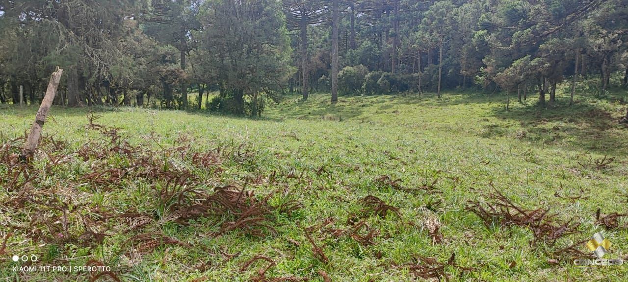 Terreno à venda com 1 quarto, 560000m² - Foto 9