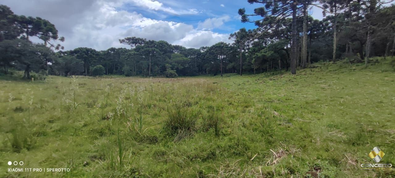 Terreno à venda com 1 quarto, 560000m² - Foto 1