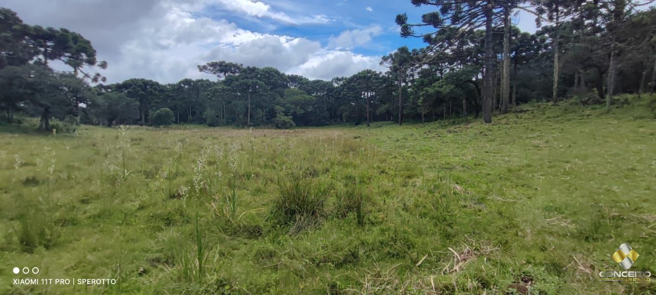 Fazenda/stio/chcara/haras  venda  no Zona Rural - So Francisco de Paula, RS. Imveis