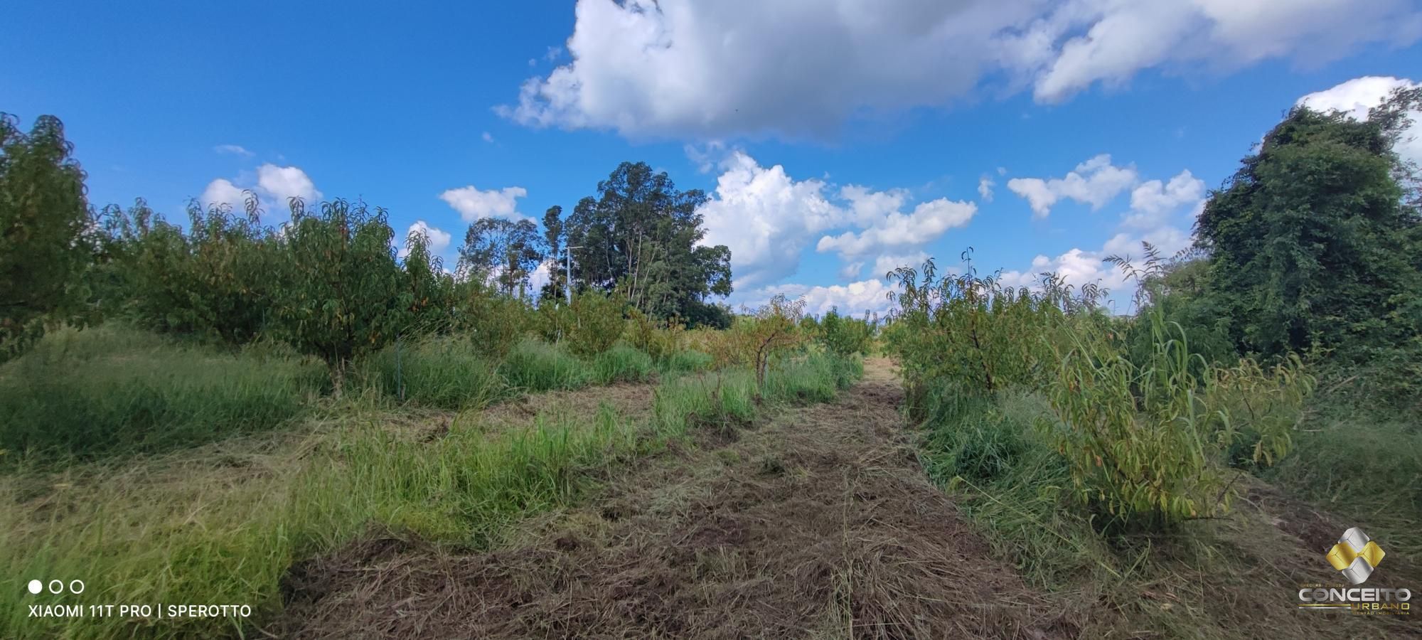 Terreno/Lote  venda  no Zona Rural - Pinto Bandeira, RS. Imveis