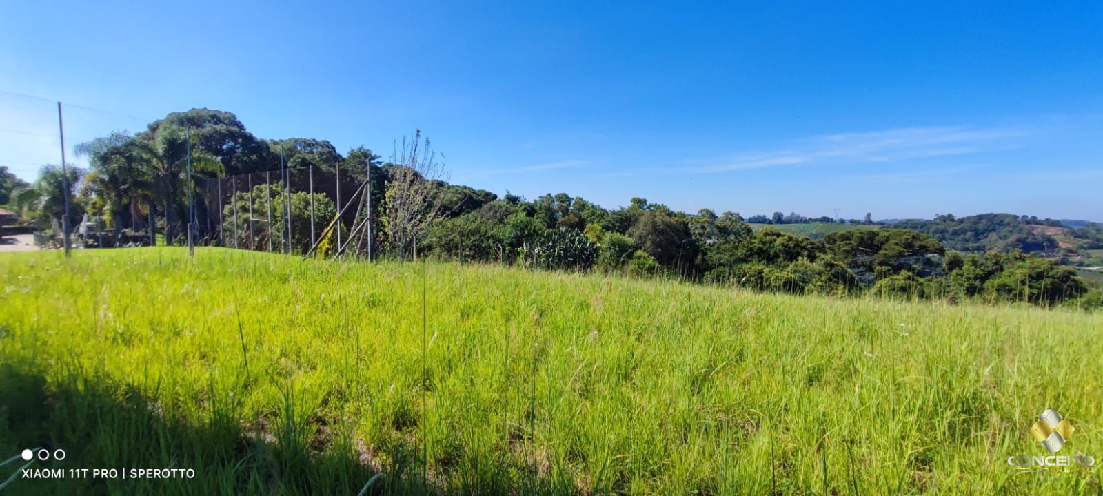 Terreno à venda, 10000m² - Foto 9