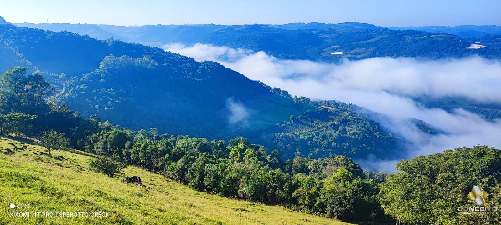 Terreno à venda, 20000m² - Foto 61