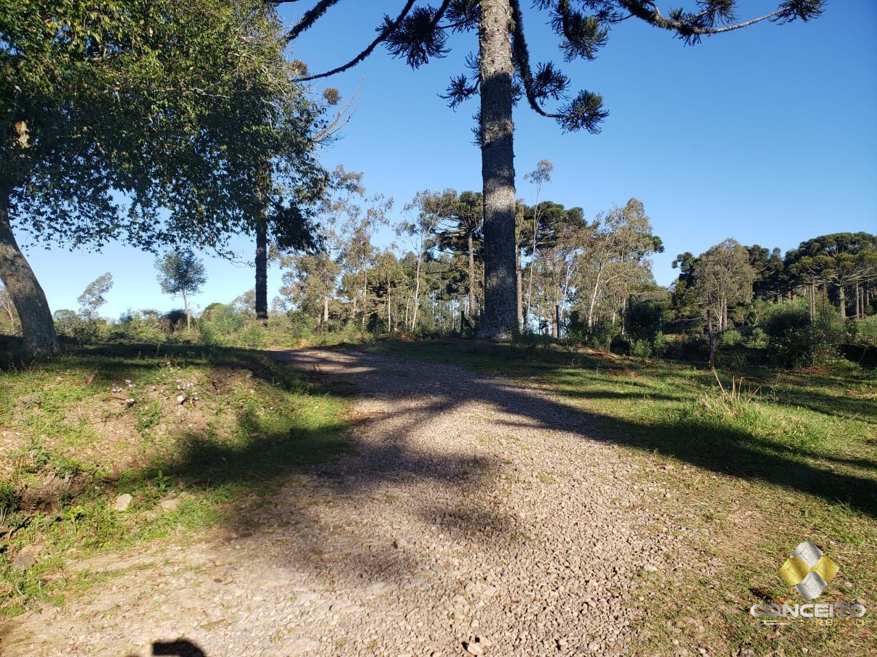 Loteamento e Condomínio à venda, 20000m² - Foto 15