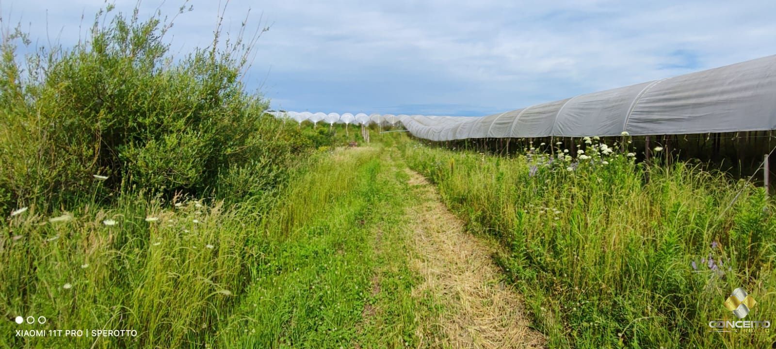 Terreno à venda, 107000m² - Foto 25