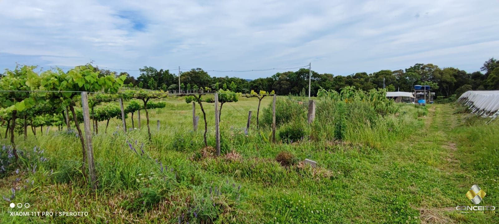 Terreno à venda, 107000m² - Foto 27