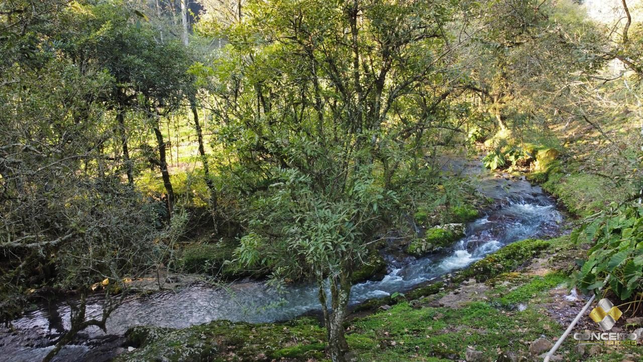 Fazenda/sítio/chácara/haras à venda  no Caminhos de Pedra - Bento Gonçalves, RS. Imóveis