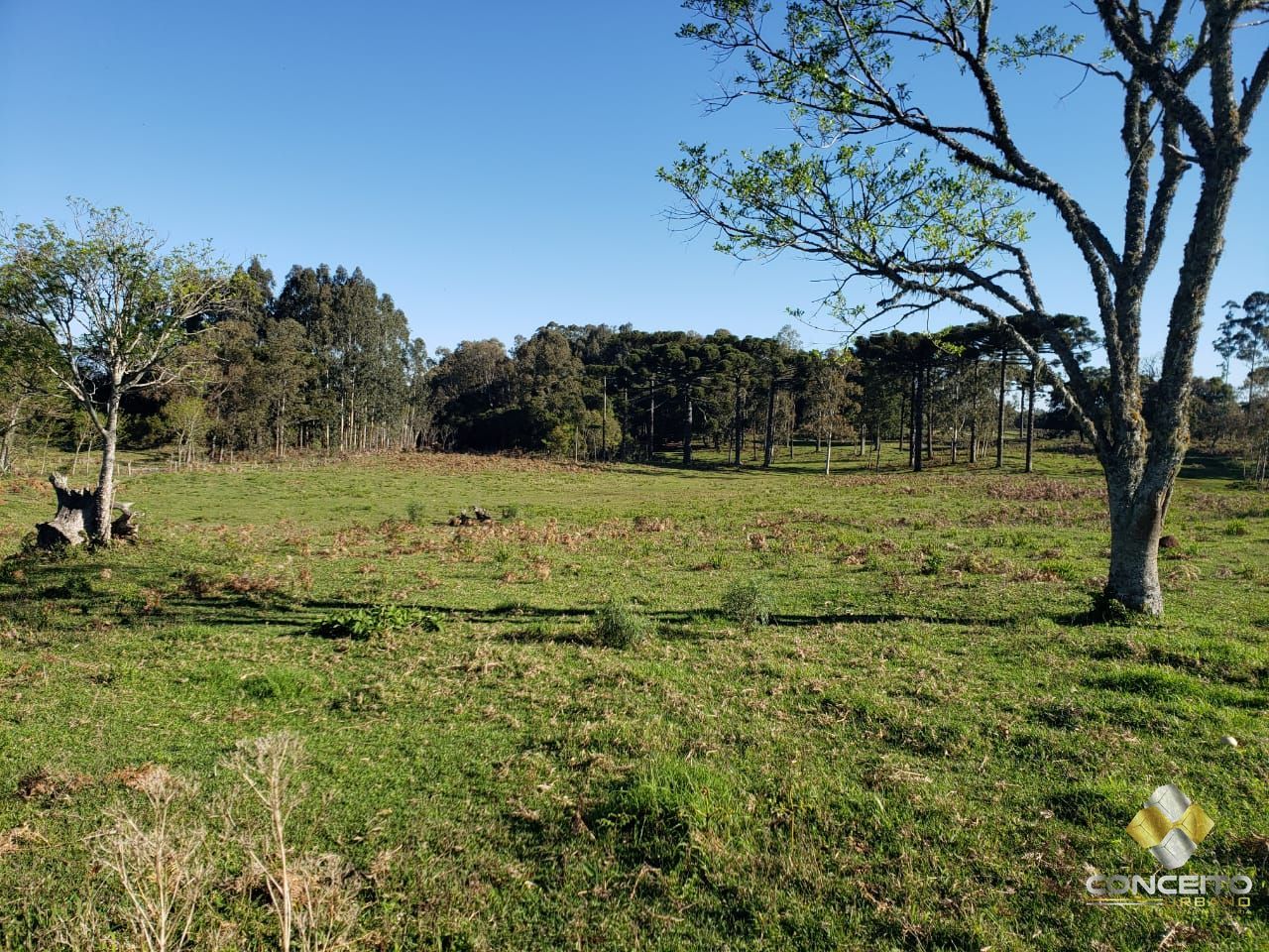 Loteamento e Condomínio à venda, 20000m² - Foto 7