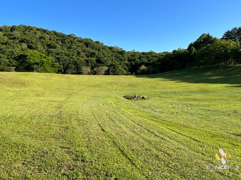 Fazenda à venda com 1 quarto, 100m² - Foto 36