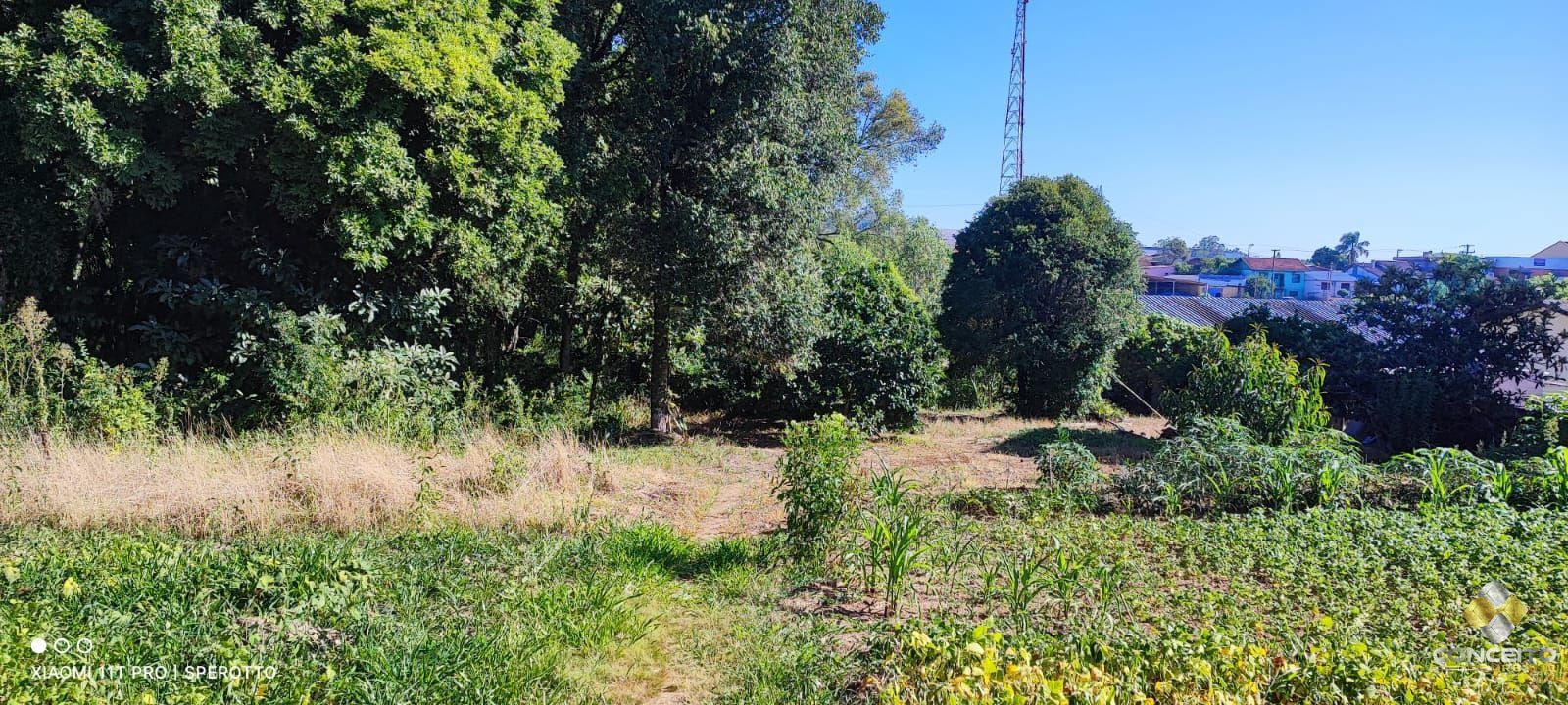 Loteamento e Condomínio à venda e aluguel, 11946m² - Foto 10