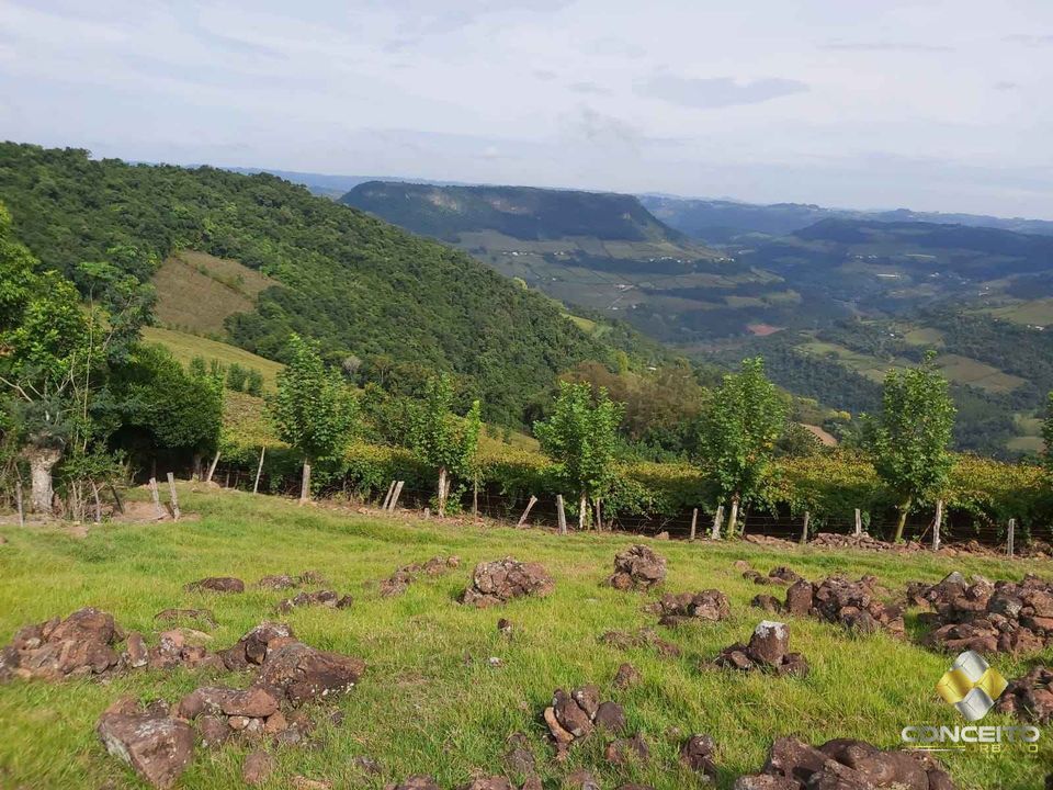 Terreno comercial  venda  no rea Rural - Bento Gonalves, RS. Imveis