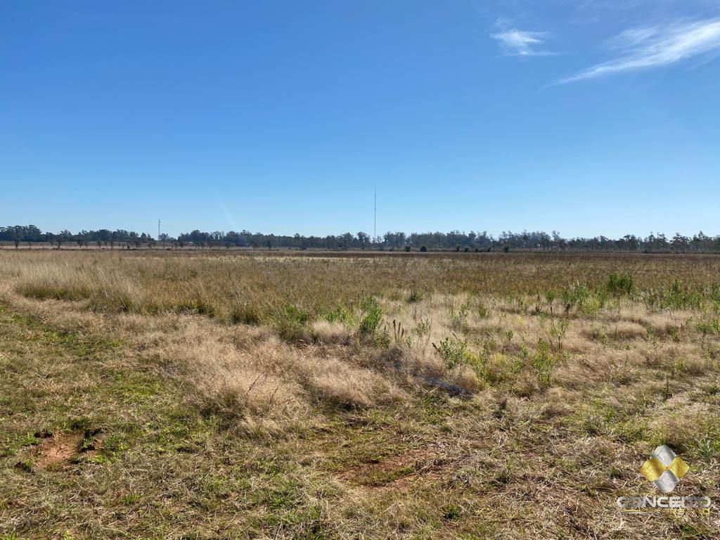 Terreno à venda, 6300000m² - Foto 6