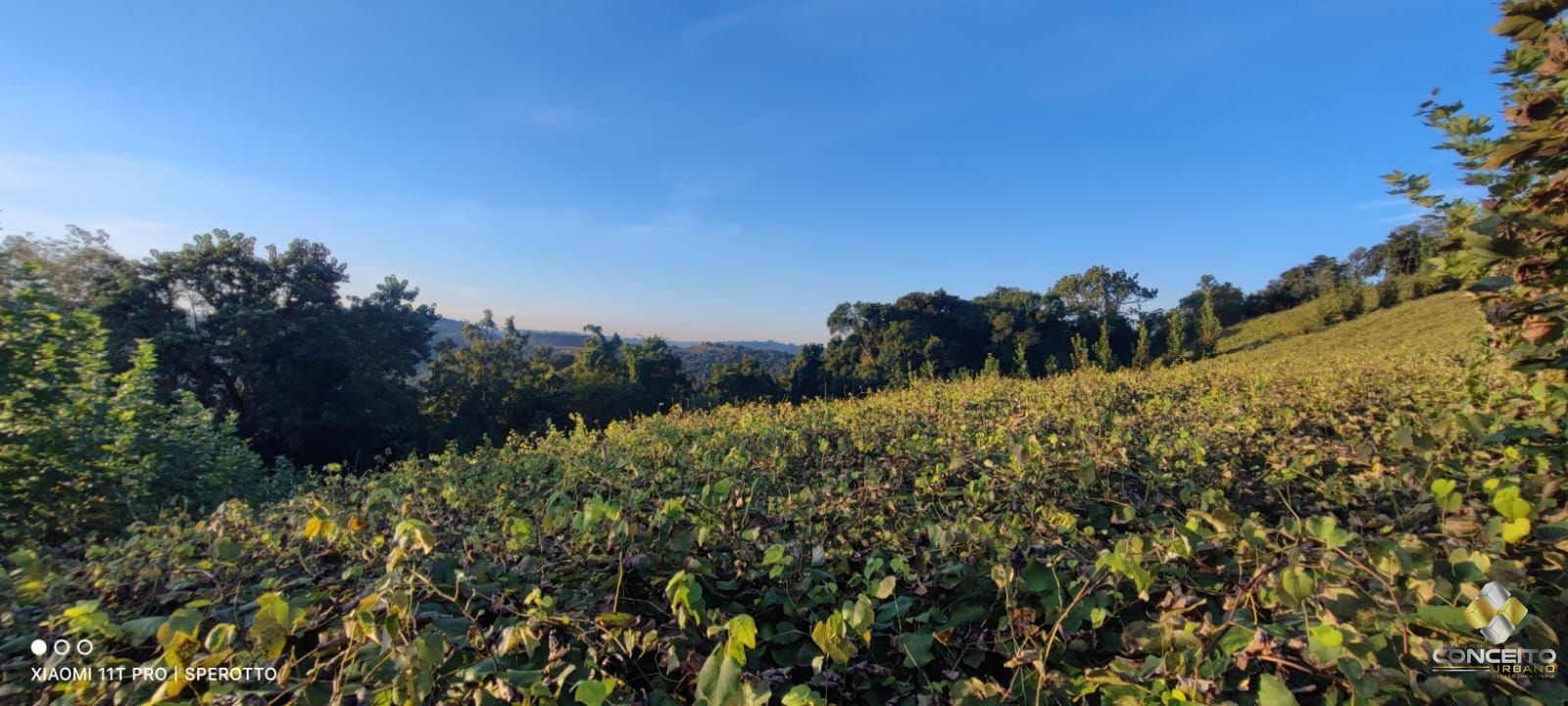 Terreno comercial  venda  no rea Rural - Bento Gonalves, RS. Imveis