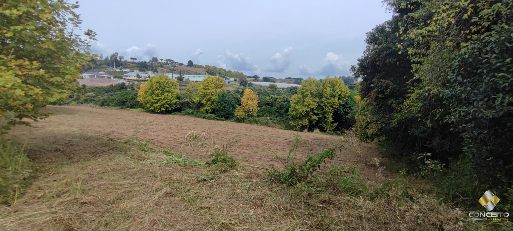 img155140570