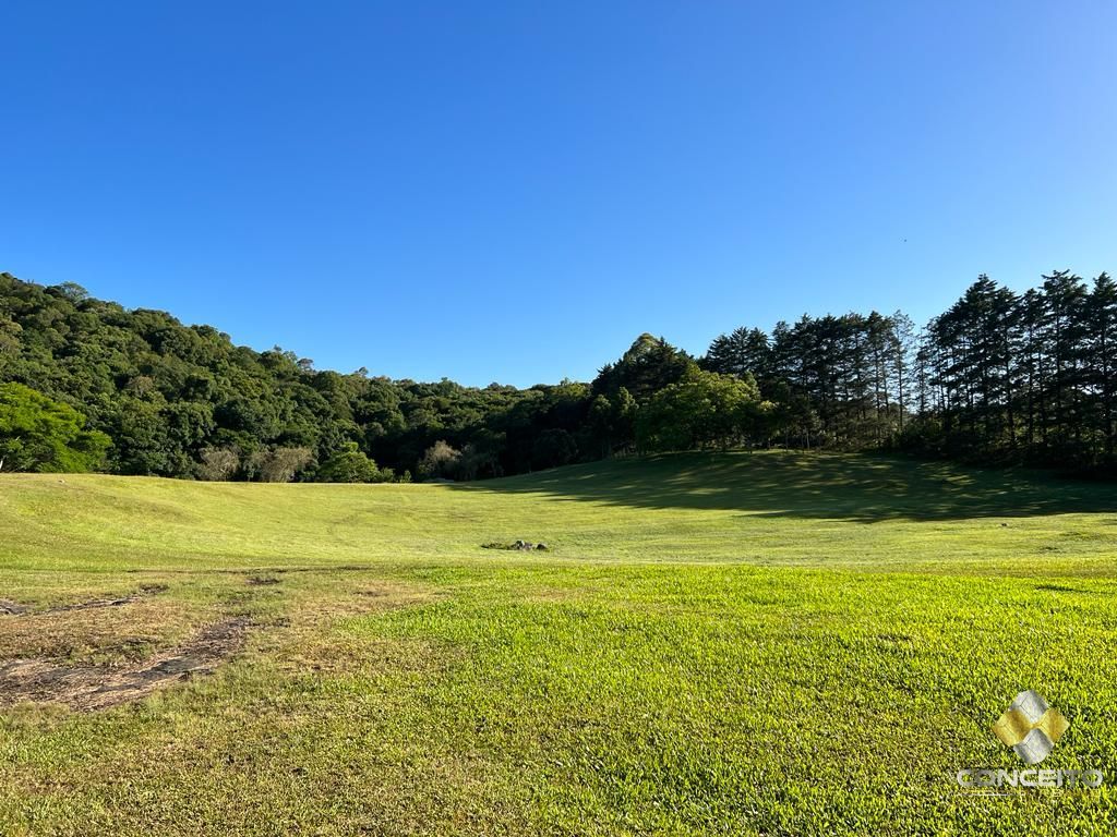 Fazenda à venda com 1 quarto, 100m² - Foto 31