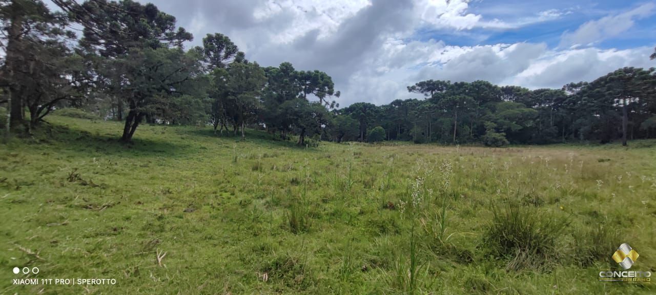 Terreno à venda com 1 quarto, 560000m² - Foto 6