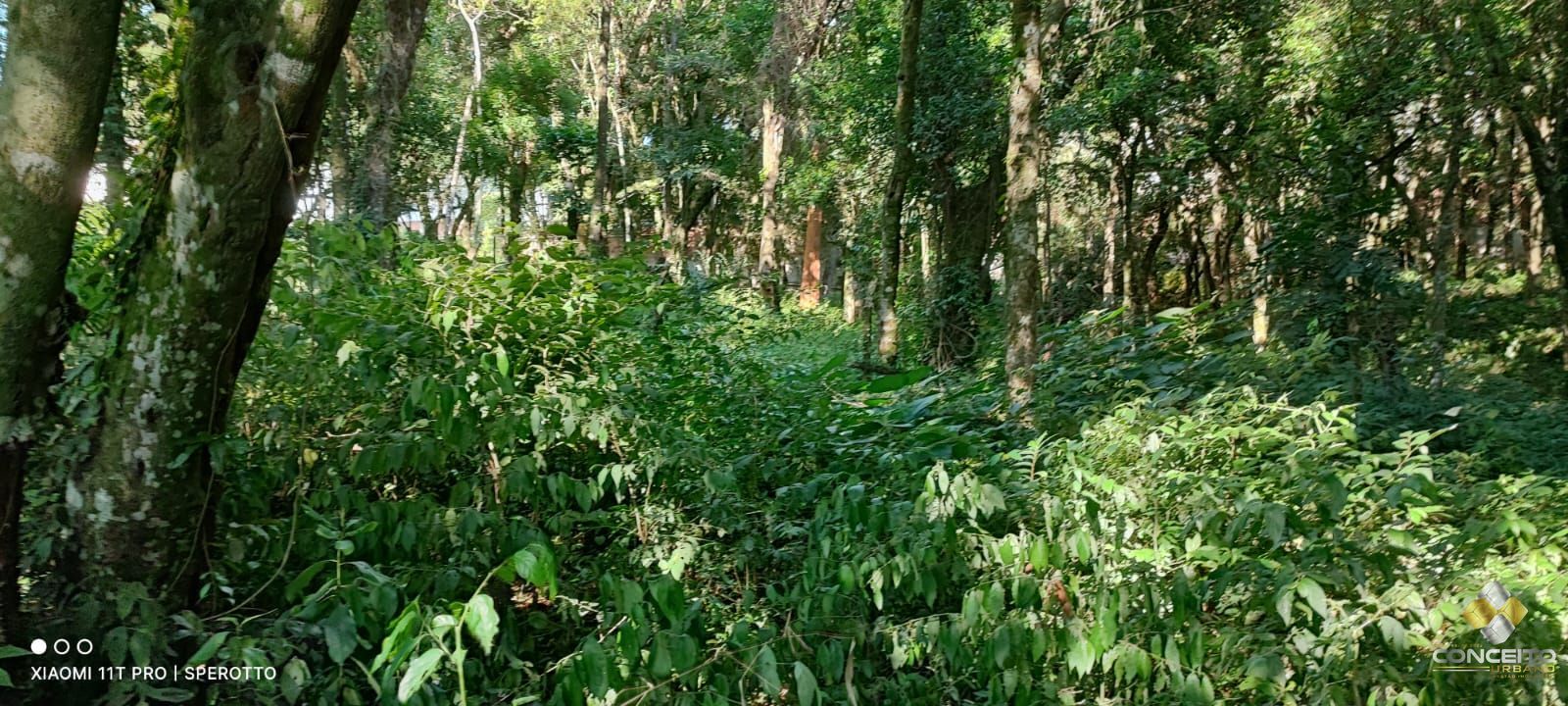 Loteamento e Condomínio à venda e aluguel, 11946m² - Foto 15