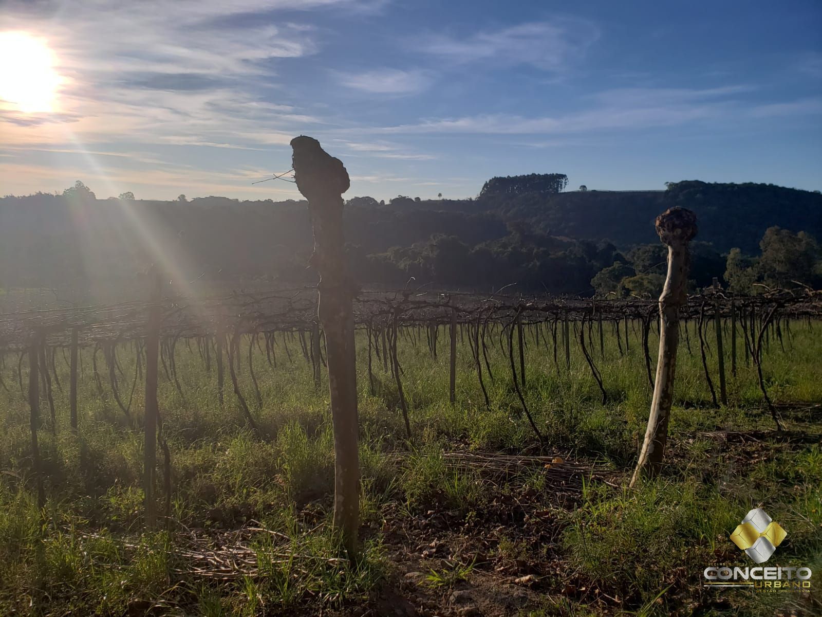 Terreno/Lote  venda  no Vale dos Vinhedos - Bento Gonalves, RS. Imveis