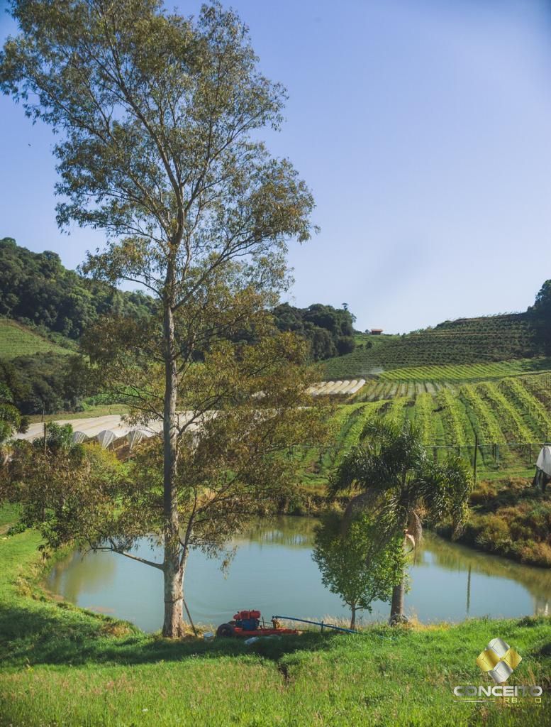 Terreno/Lote  venda  no So Pedro - Bento Gonalves, RS. Imveis