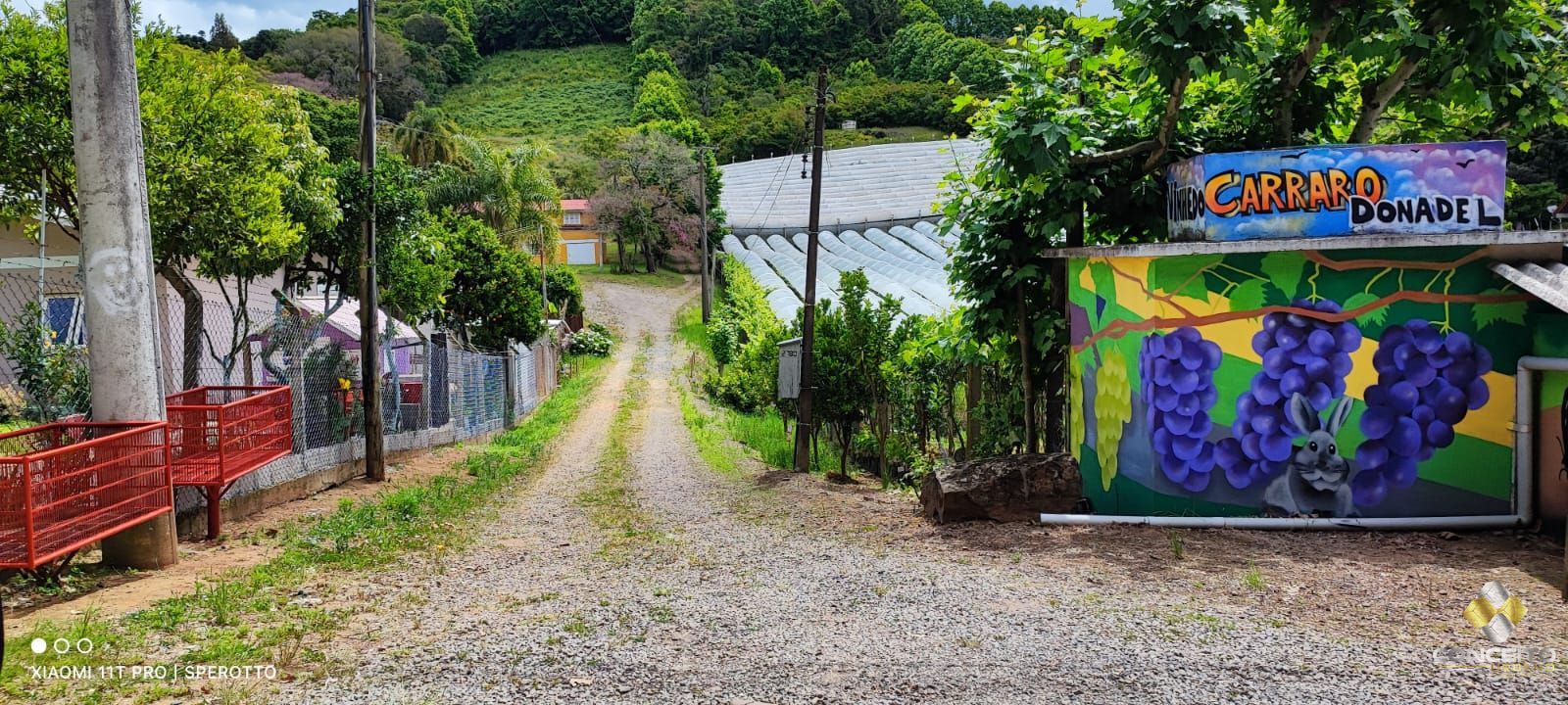 Terreno comercial para alugar  no Vale dos Vinhedos - Bento Gonalves, RS. Imveis