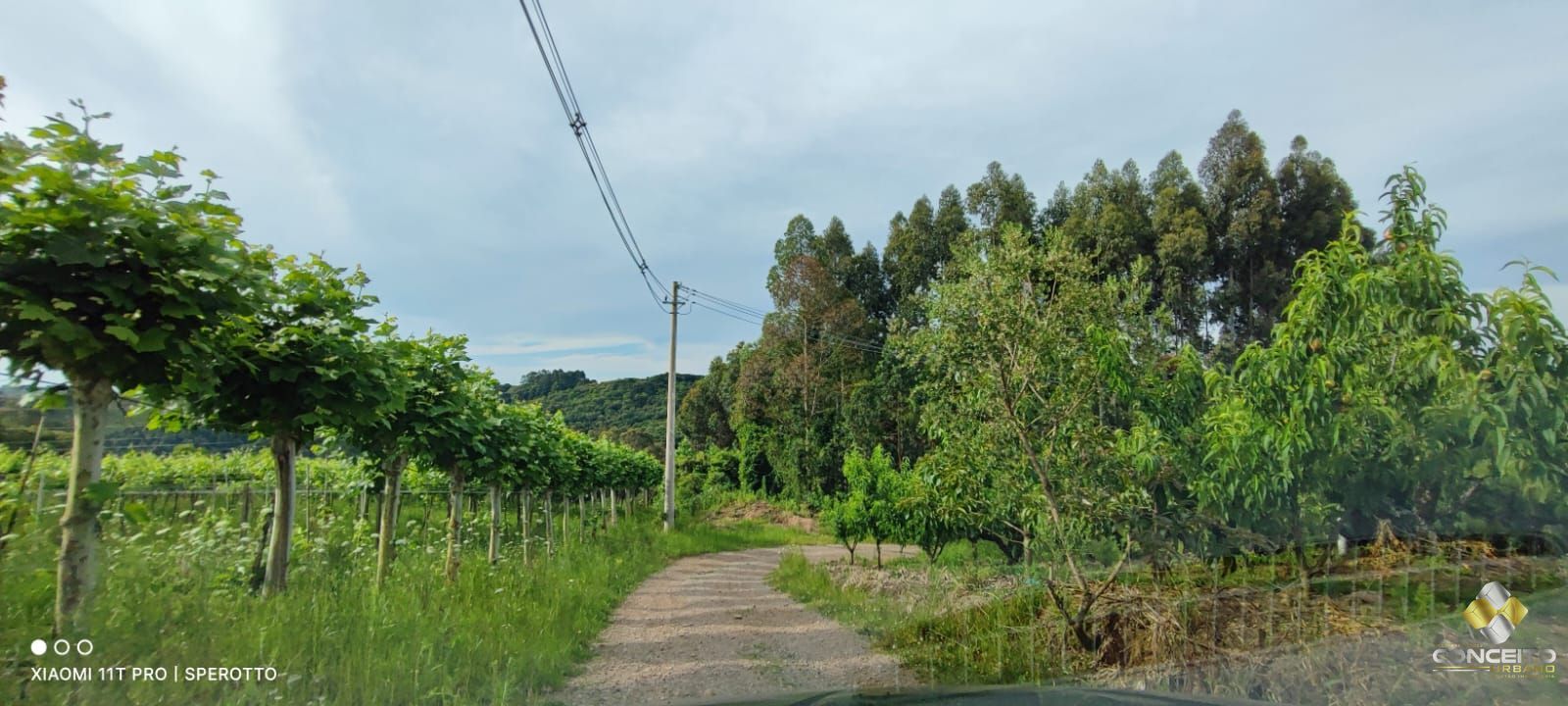 Terreno à venda, 107000m² - Foto 3