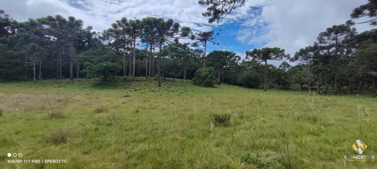 Terreno à venda com 1 quarto, 560000m² - Foto 7