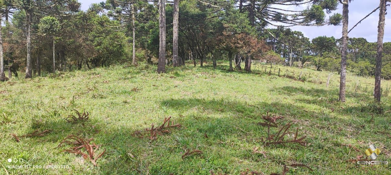 Terreno à venda com 1 quarto, 560000m² - Foto 10