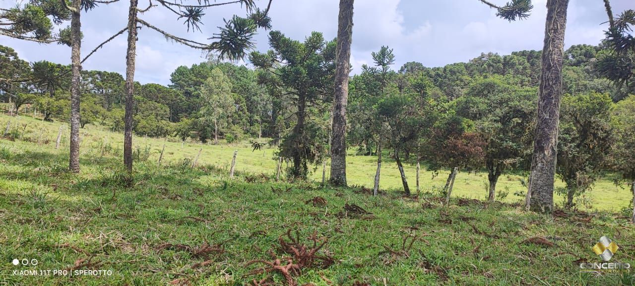 Terreno à venda com 1 quarto, 560000m² - Foto 12