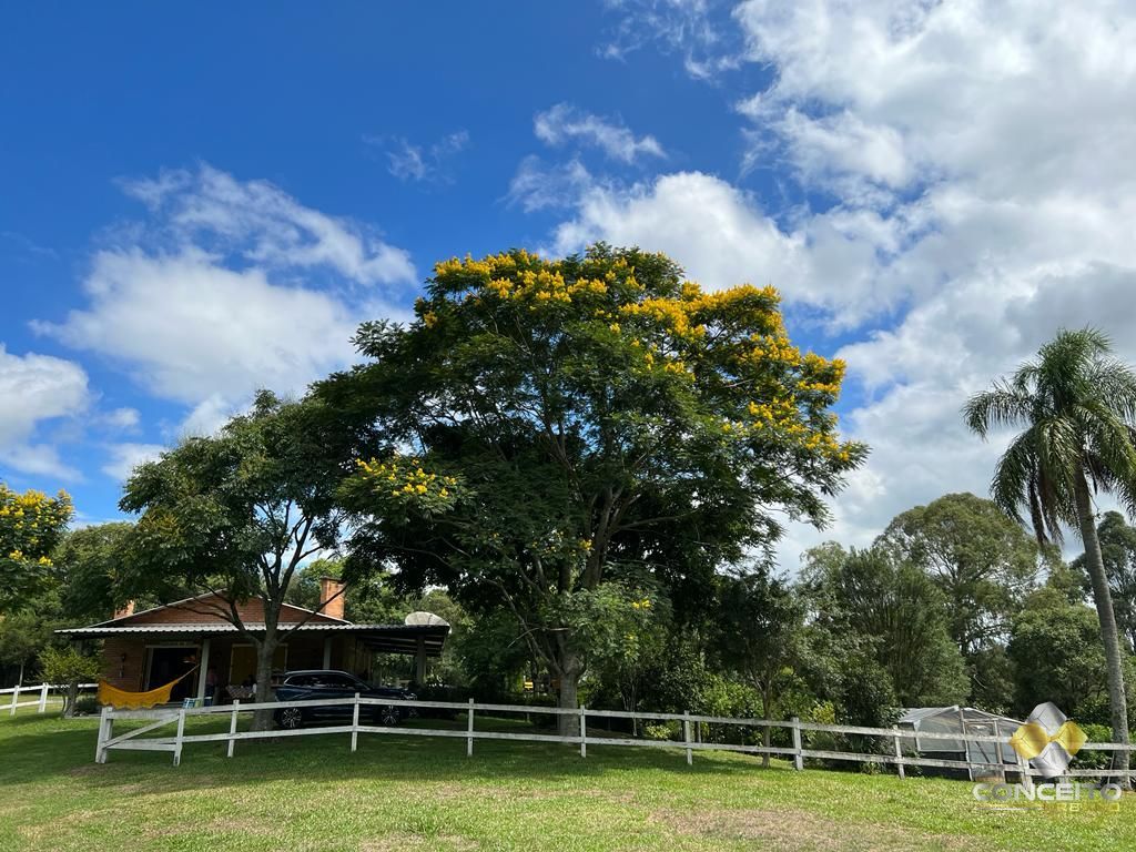 Fazenda à venda com 1 quarto, 100m² - Foto 11