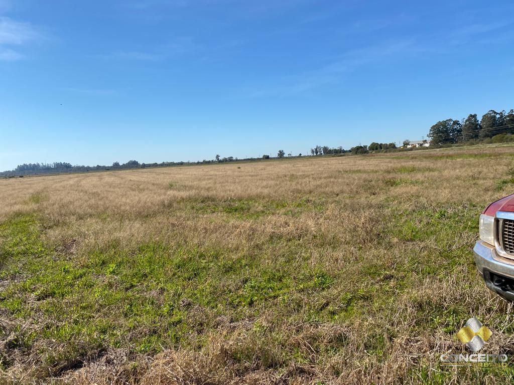 Terreno à venda, 6300000m² - Foto 16