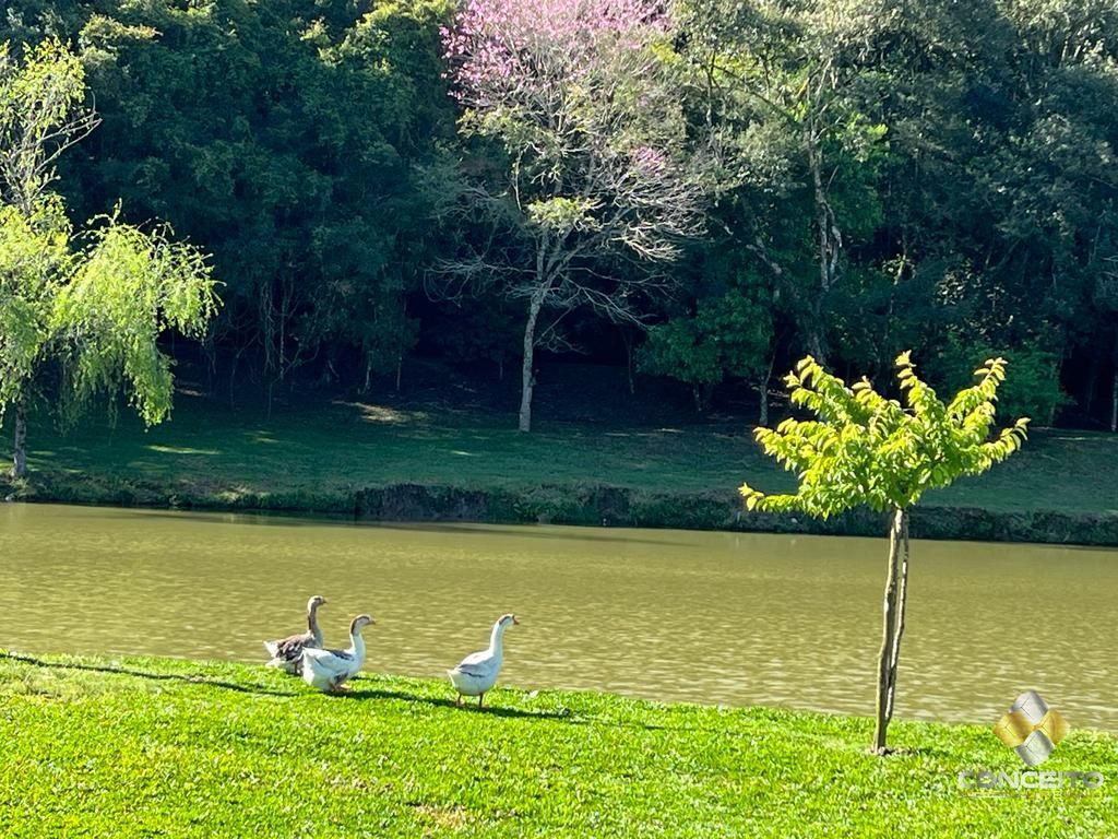 Fazenda à venda com 1 quarto, 100m² - Foto 45