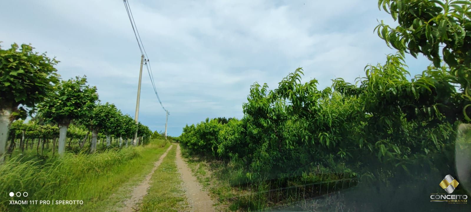 Terreno à venda, 107000m² - Foto 6