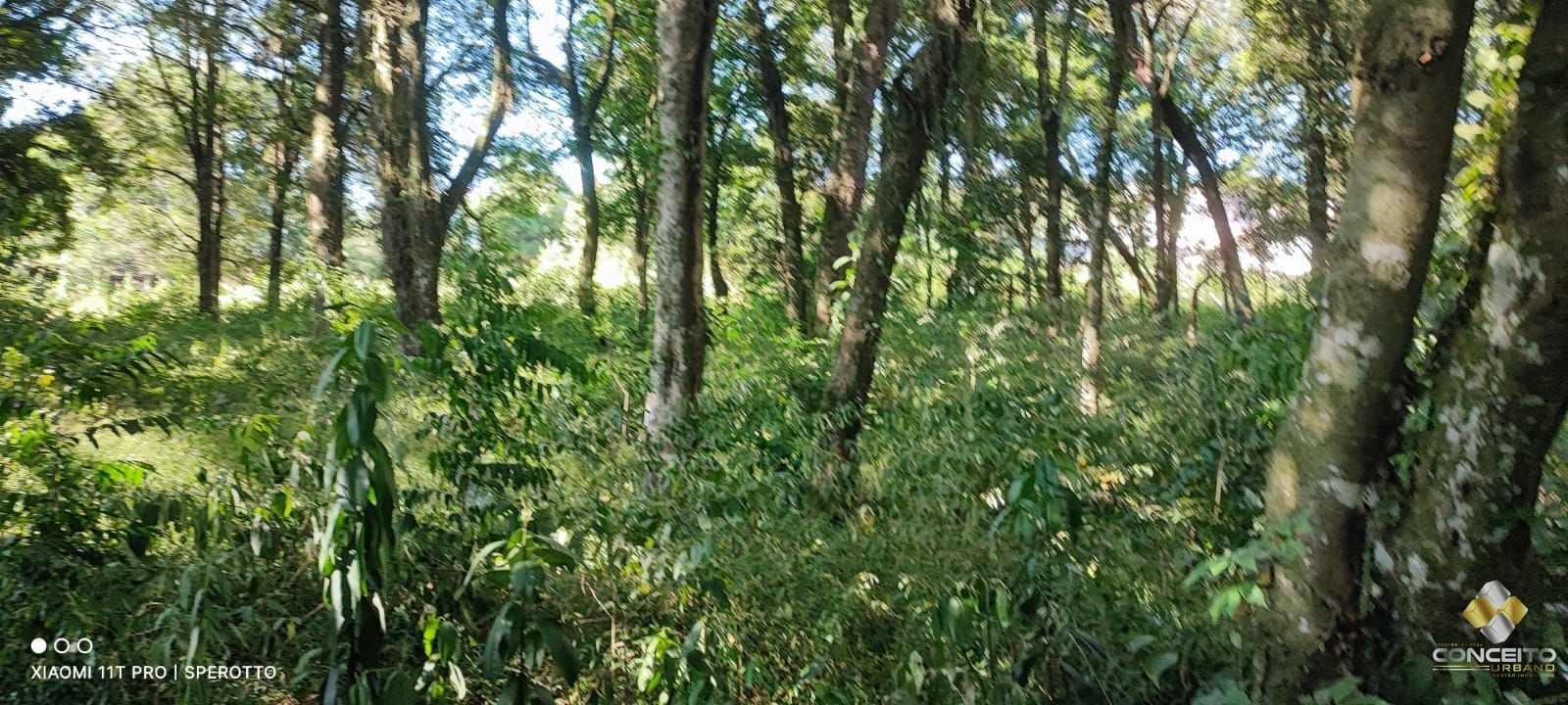 Loteamento e Condomínio à venda e aluguel, 11946m² - Foto 11