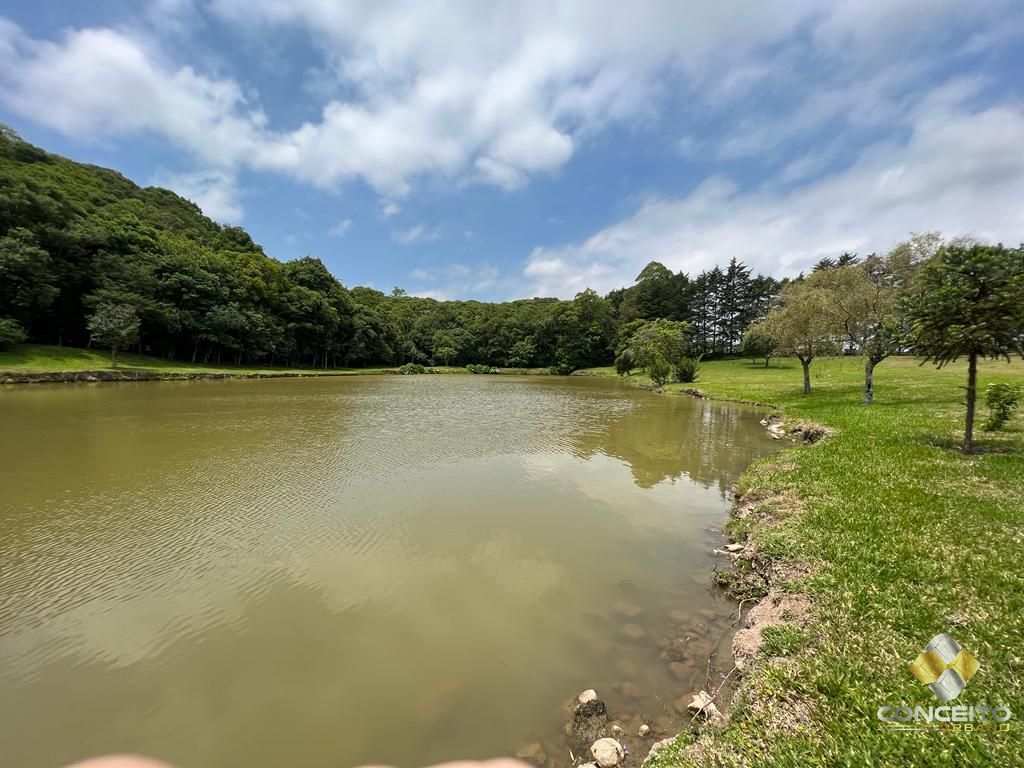 Fazenda à venda com 1 quarto, 100m² - Foto 20