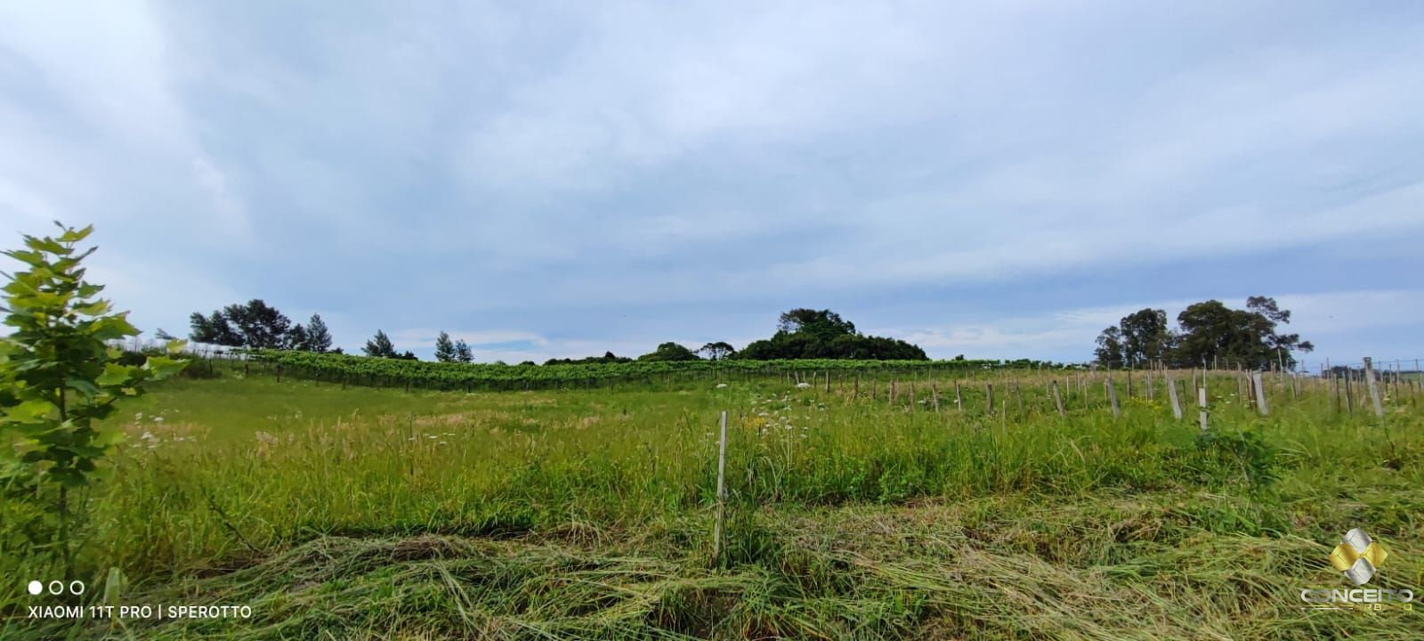 Terreno à venda, 107000m² - Foto 11