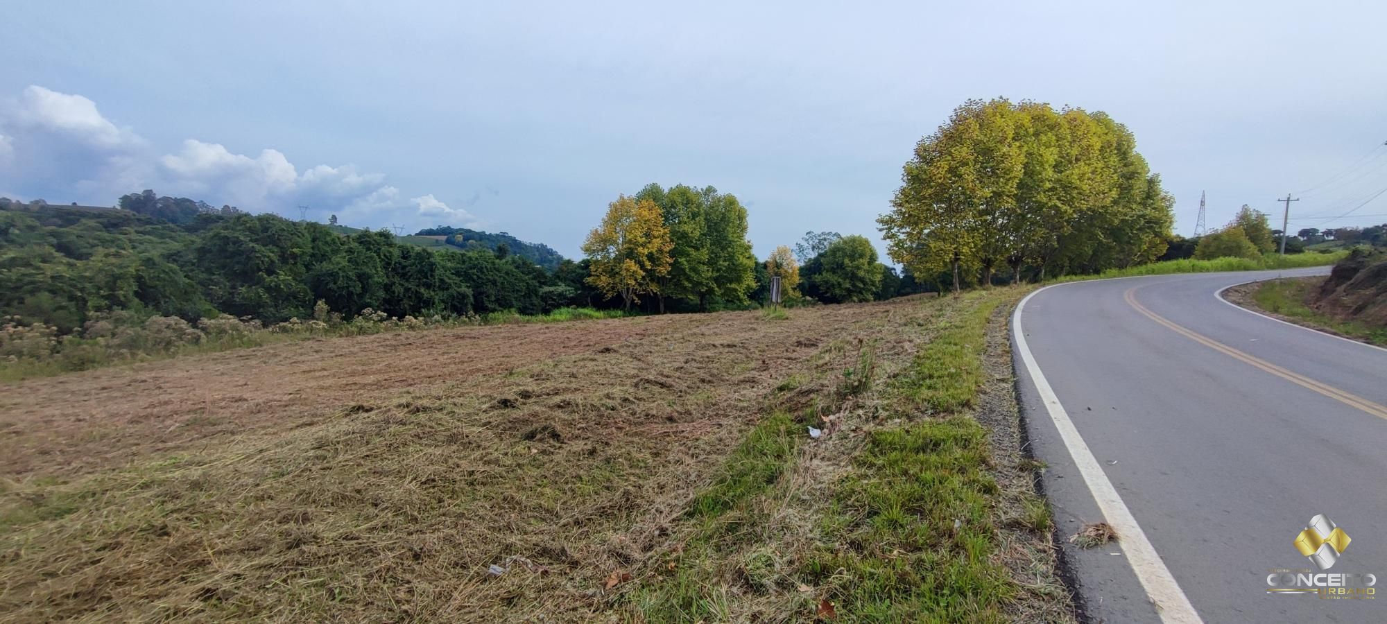 img155140587