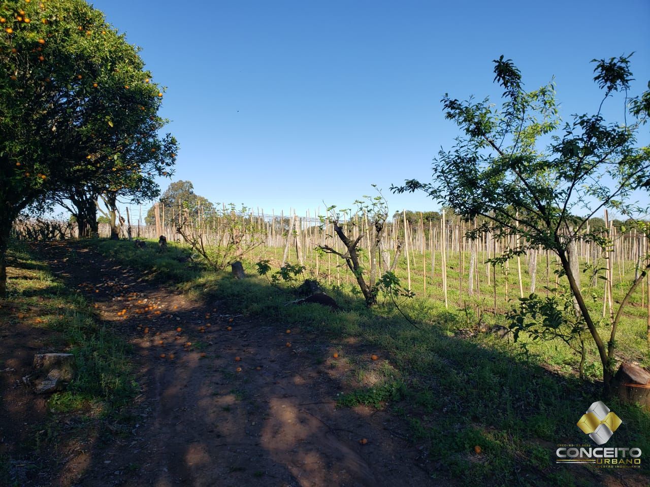 Loteamento e Condomínio à venda, 20000m² - Foto 8