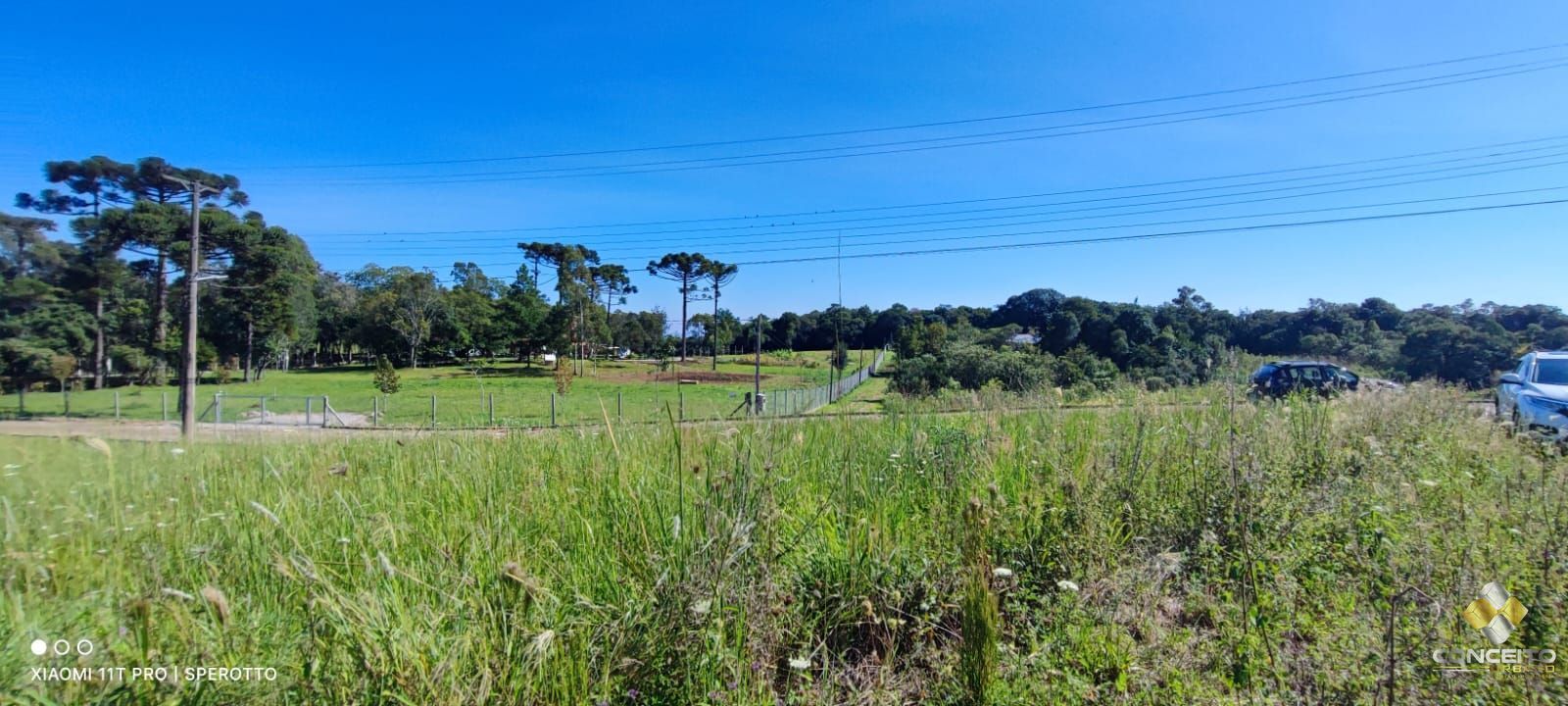 Terreno à venda, 10000m² - Foto 4