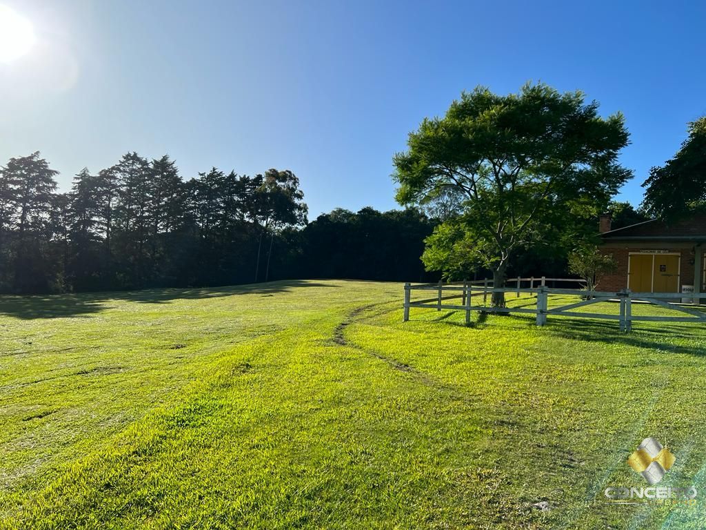 Fazenda à venda com 1 quarto, 100m² - Foto 37