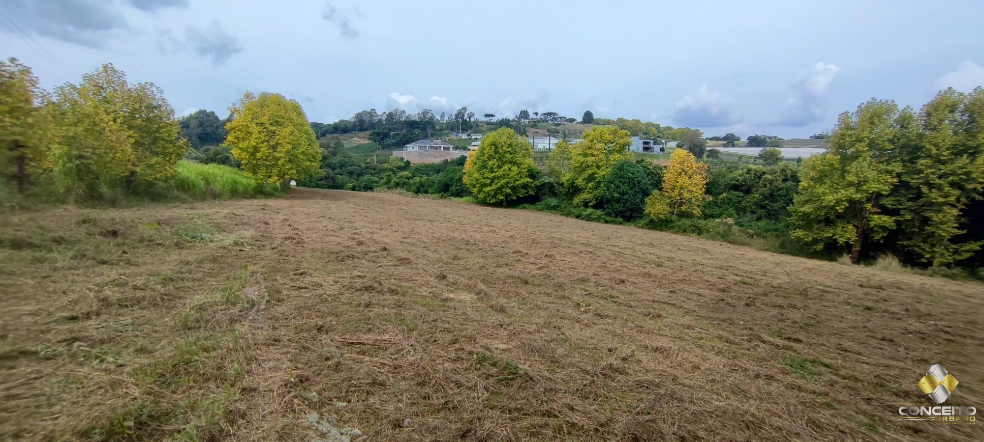 img155140568