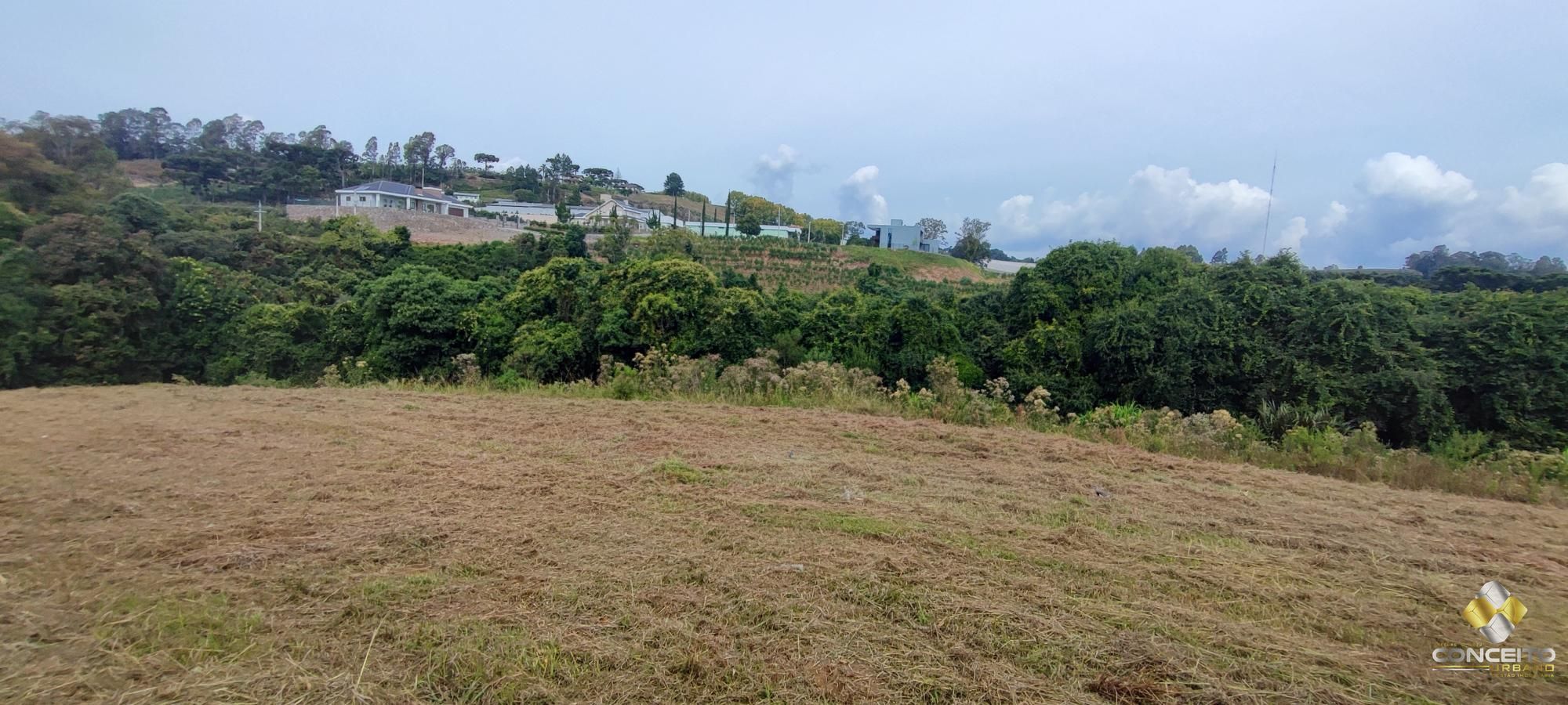 img155140577